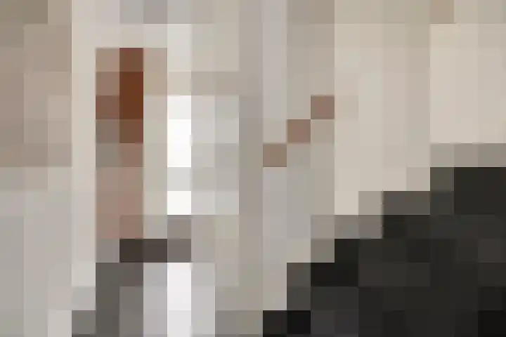 Het Dagwerk 14 Dronten thumbnail 6