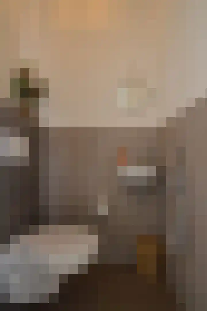 Het Derp 11 Deurne thumbnail 10