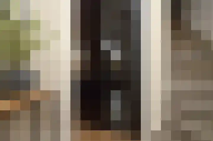 Het Derp 11 Deurne thumbnail 11