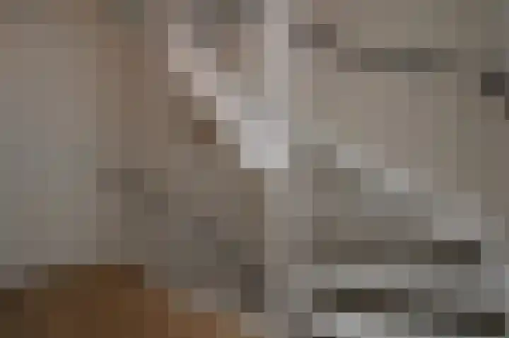 Het Derp 11 Deurne thumbnail 12