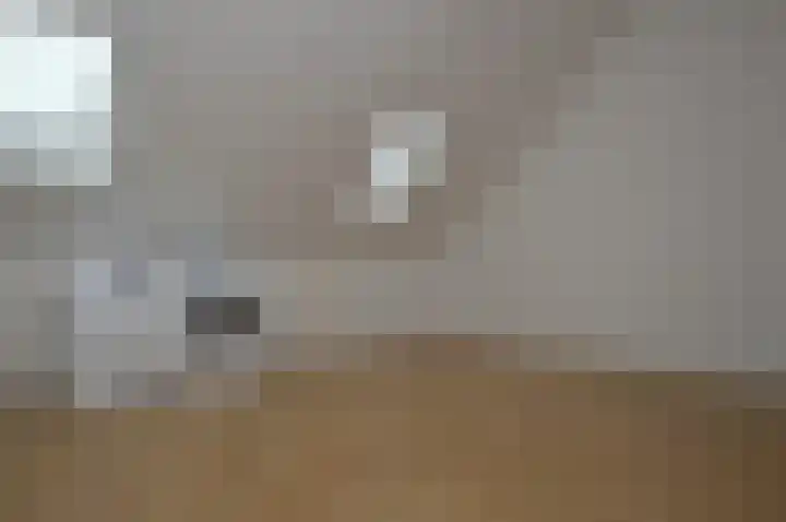 Het Derp 11 Deurne thumbnail 18
