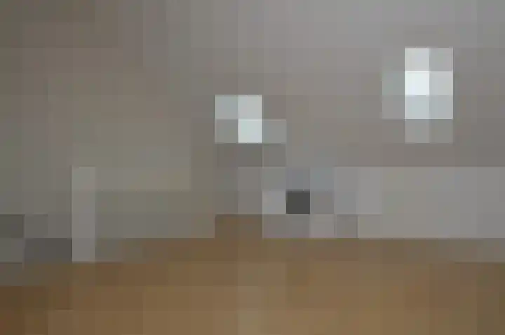 Het Derp 11 Deurne thumbnail 19
