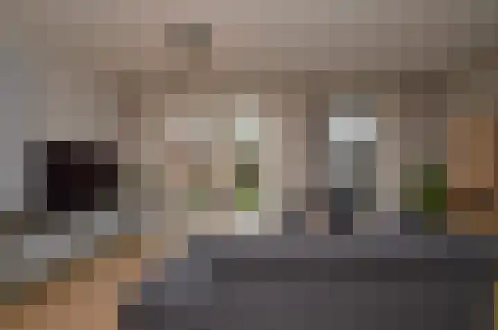 Het Derp 11 Deurne foto 2