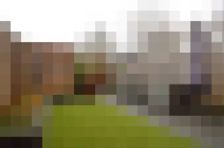 Het Derp 11 Deurne thumbnail 21