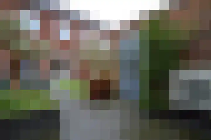 Het Derp 11 Deurne thumbnail 22