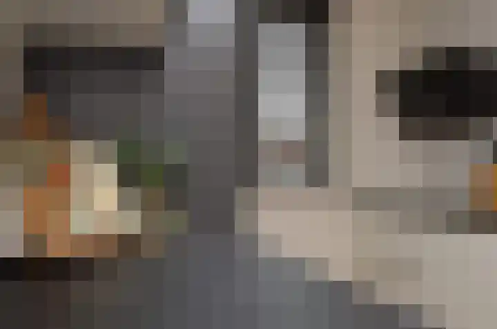 Het Derp 11 Deurne thumbnail 4