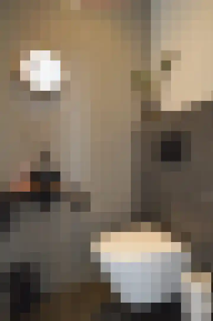 Het Derp 25 Deurne thumbnail 12