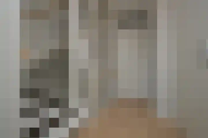 Het Derp 25 Deurne thumbnail 13
