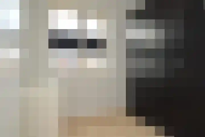 Het Derp 25 Deurne thumbnail 18