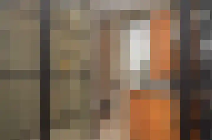 Het Derp 25 Deurne thumbnail 20