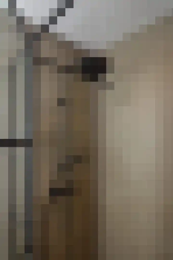 Het Derp 25 Deurne thumbnail 21
