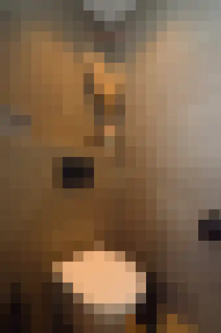 Het Derp 25 Deurne thumbnail 22