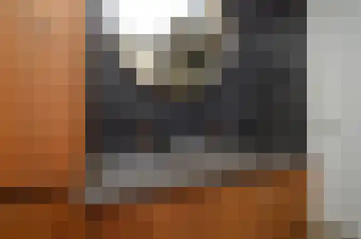 Het Derp 25 Deurne thumbnail 23