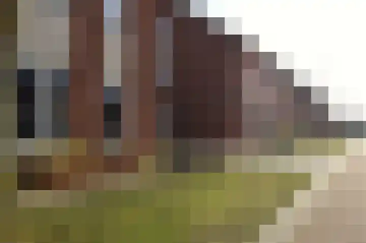 Het Derp 25 Deurne thumbnail 30