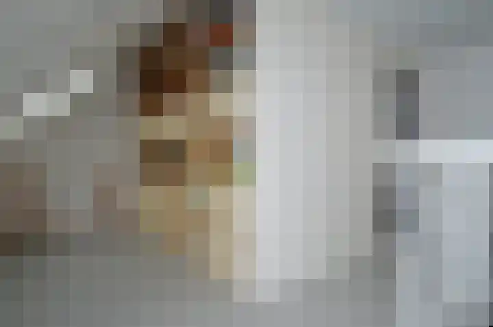 Het Derp 35 Deurne thumbnail 22