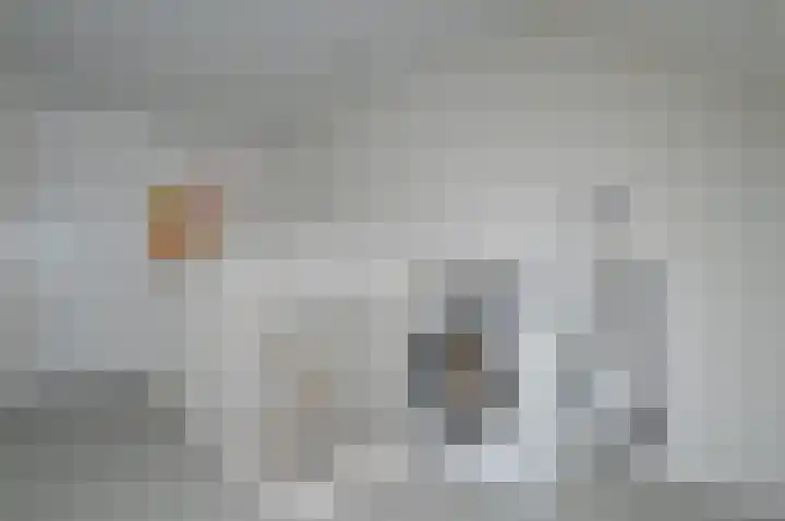 Het Derp 35 Deurne thumbnail 23