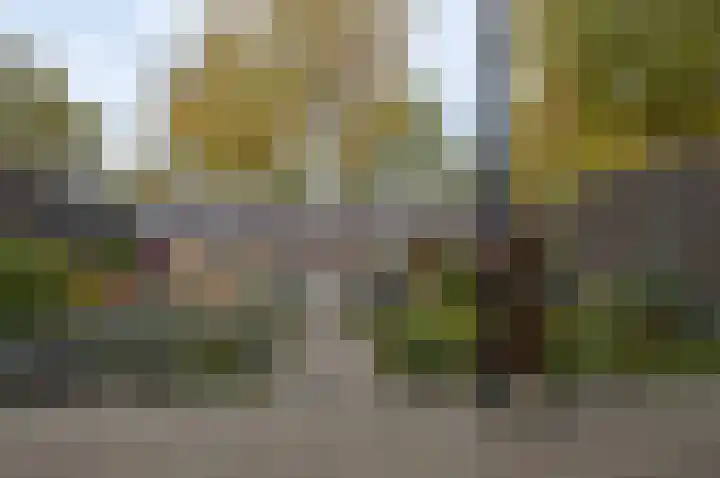 Het Derp 35 Deurne thumbnail 26