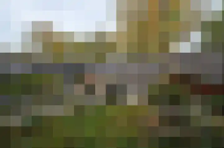Het Derp 35 Deurne thumbnail 28