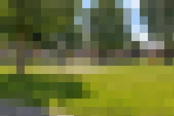 Het Diep 34 Drachten thumbnail 32