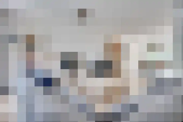Het Doel 4 Hilvarenbeek thumbnail 12