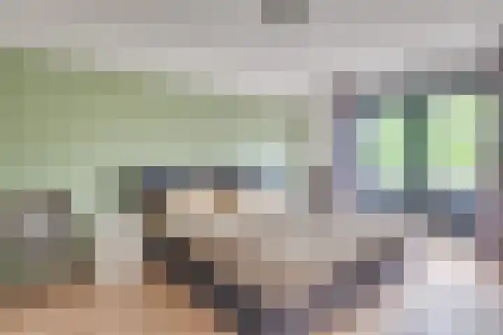 Het Doel 4 Hilvarenbeek thumbnail 22