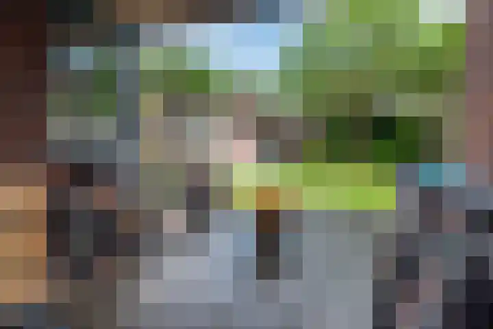 Het Doel 4 Hilvarenbeek thumbnail 38