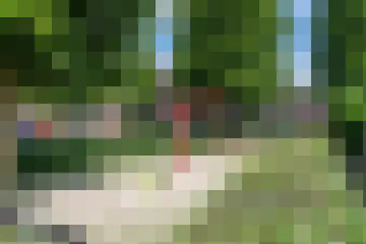 Het Doel 4 Hilvarenbeek thumbnail 43