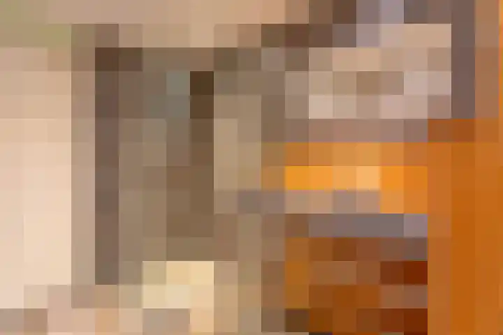 Het Dok 49 Zaandam thumbnail 17
