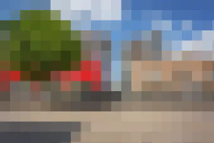 Het Dok 49 Zaandam thumbnail 31