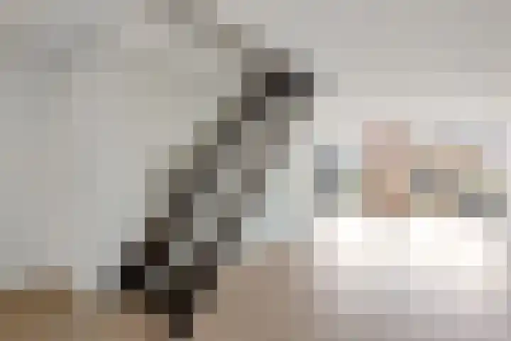 Het Dok 49 Zaandam thumbnail 5