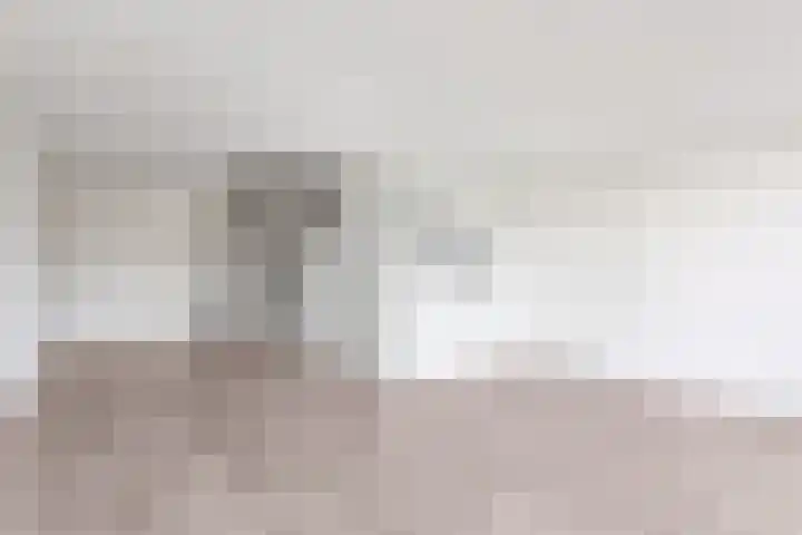 Het Dok 49 Zaandam thumbnail 7