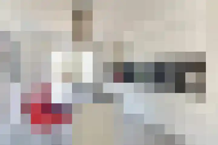 Het Dolomiet 11 Swifterbant thumbnail 16
