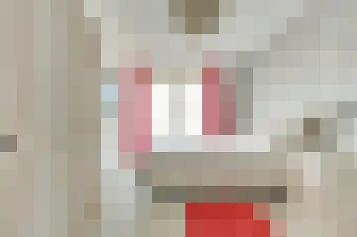 Het Dolomiet 11 Swifterbant thumbnail 19