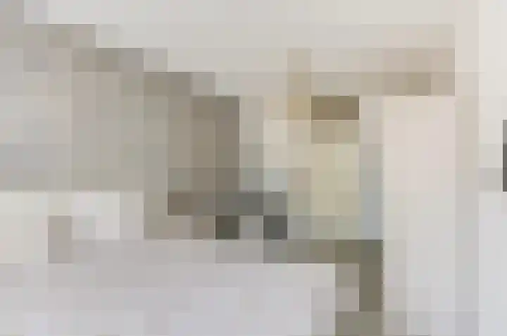 Het Dolomiet 11 Swifterbant thumbnail 20