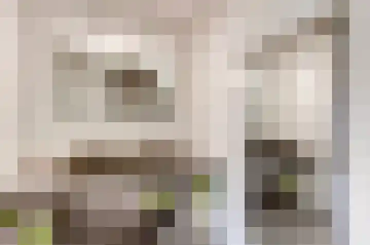 Het Dolomiet 11 Swifterbant thumbnail 22