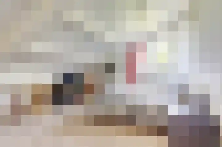Het Dolomiet 11 Swifterbant thumbnail 24