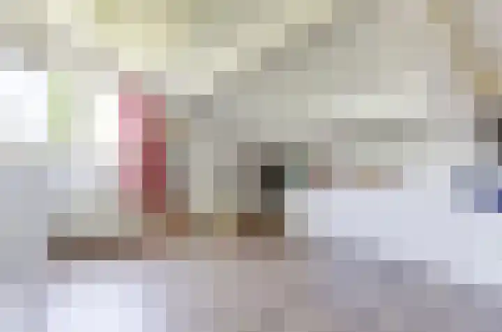 Het Dolomiet 11 Swifterbant thumbnail 26