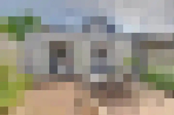 Het Dolomiet 11 Swifterbant thumbnail 31