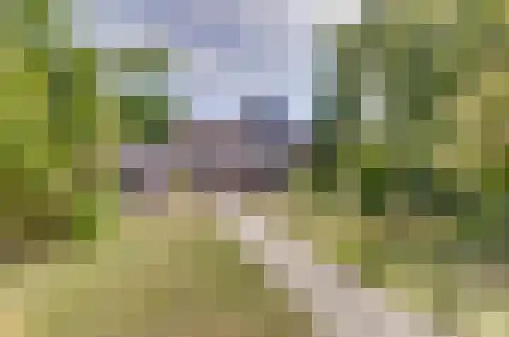 Het Dolomiet 11 Swifterbant thumbnail 34