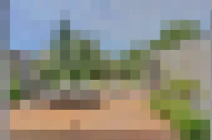 Het Dolomiet 11 Swifterbant thumbnail 35