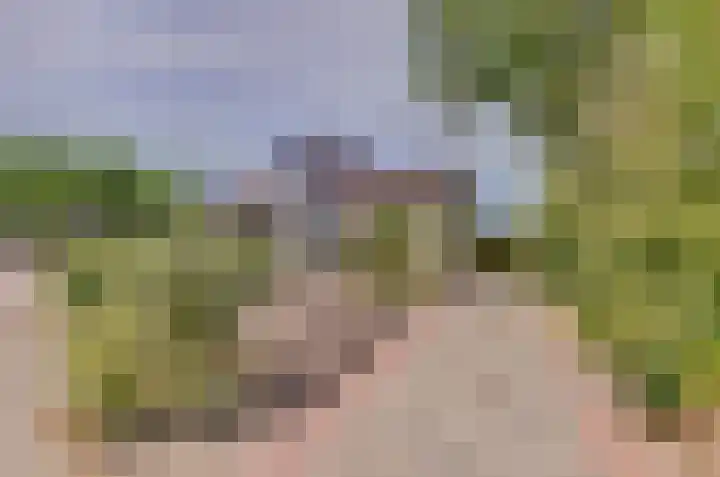 Het Dolomiet 11 Swifterbant thumbnail 38