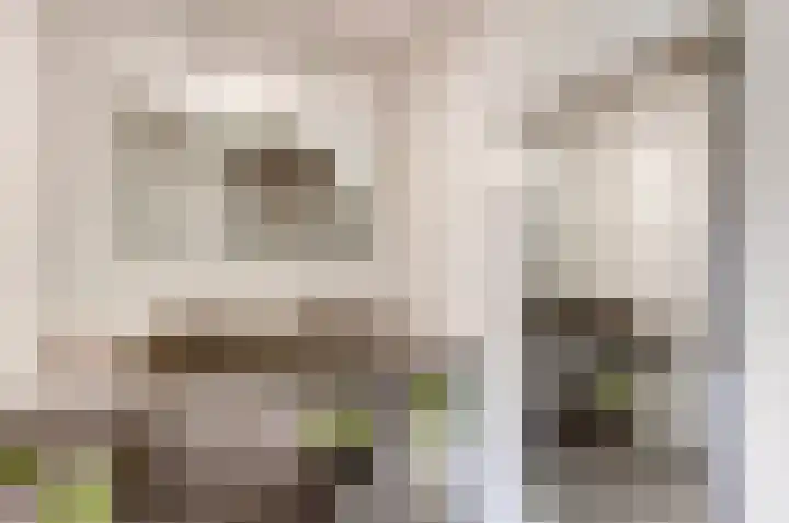 Het Dolomiet 11 Swifterbant thumbnail 4