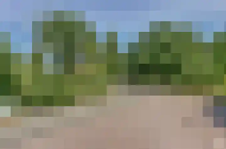 Het Dolomiet 11 Swifterbant thumbnail 40