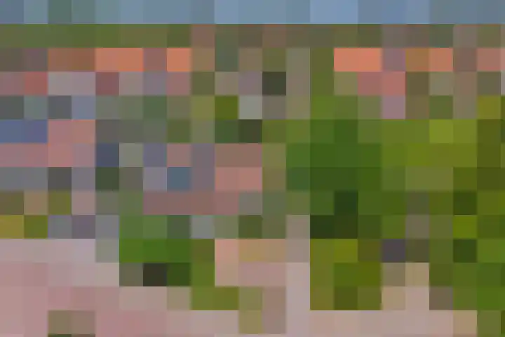 Het Dolomiet 11 Swifterbant thumbnail 42