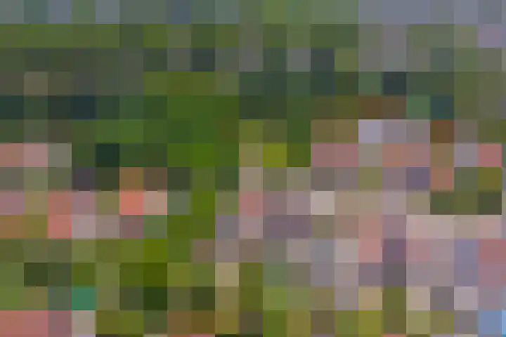 Het Dolomiet 11 Swifterbant thumbnail 43