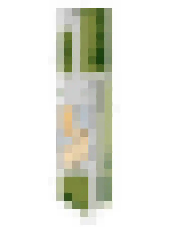 Het Dolomiet 11 Swifterbant thumbnail 44