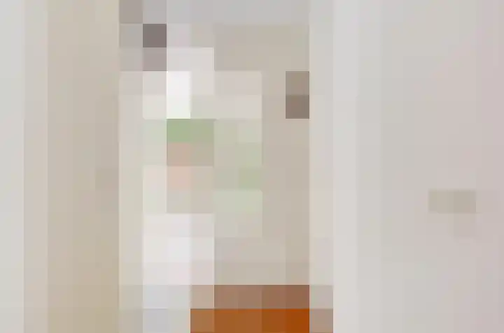 Het Dolomiet 11 Swifterbant thumbnail 7
