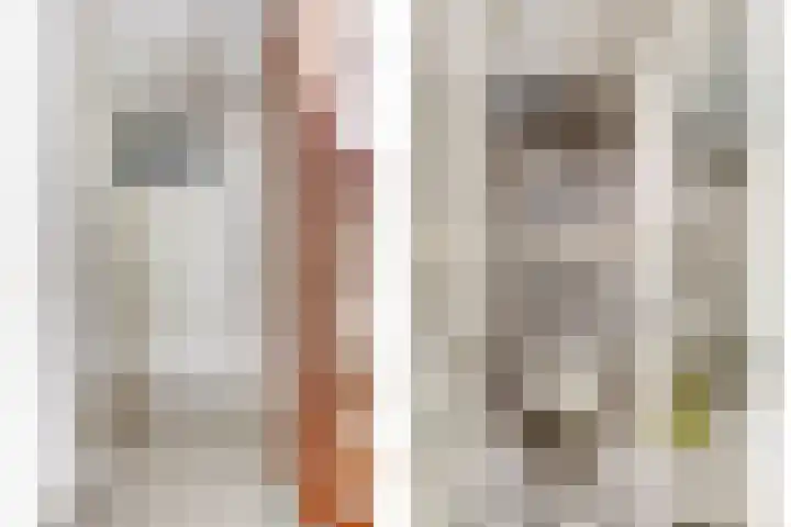 Het Dolomiet 11 Swifterbant thumbnail 8