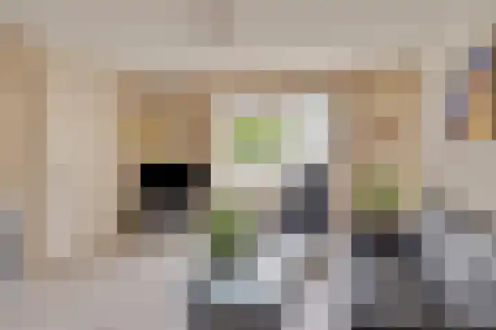 Het Dolomiet 20 Swifterbant thumbnail 11