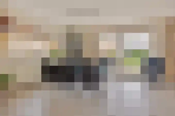 Het Dolomiet 20 Swifterbant thumbnail 13